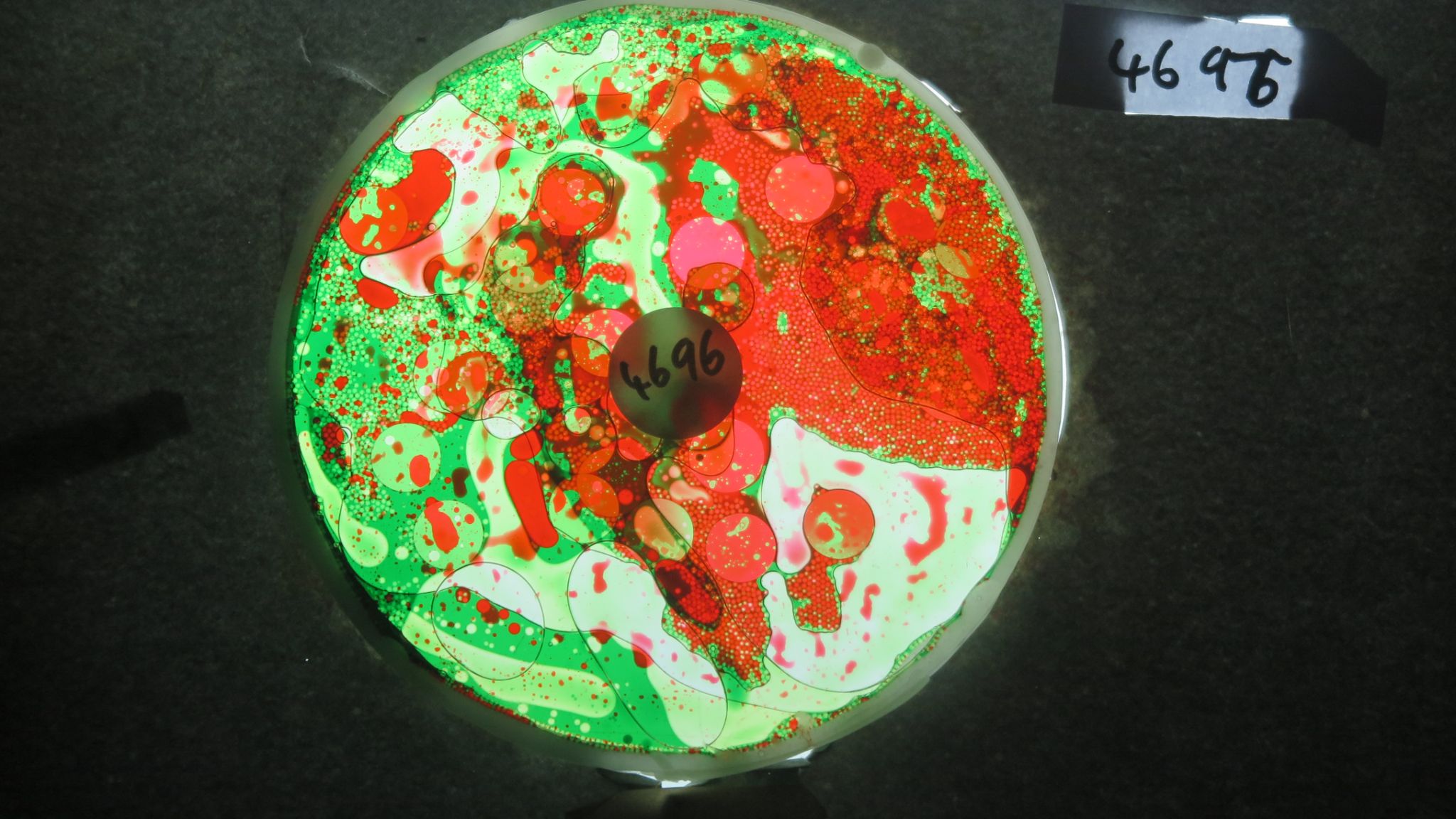 BV4696 bubble vision oil wheel